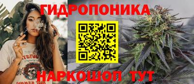 хмурый Краснознаменск